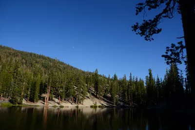 DSC_9949 (Large).JPG